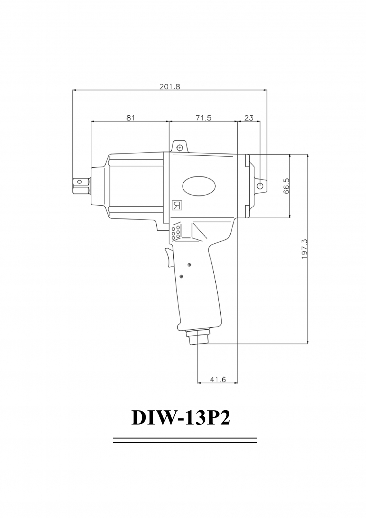 DIW-13P2 외관도